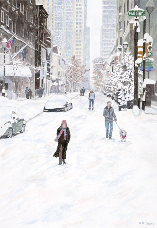 Snow Blanket - Walnut St.